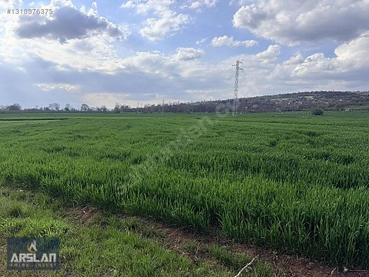 İNEGÖL SÜPÜRTÜ MAHALLESI'NDE YOLA CEPHE 2313 M SATILIK TARLA - BURSA İNEGÖL fotoğraf 10