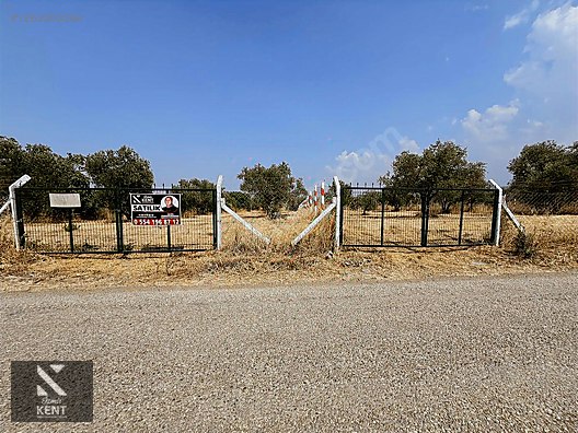 Kemalpaşa Bağyurdu Satılık 5650 m2 Bahçe - İZMİR KEMALPAŞA fotoğraf 5