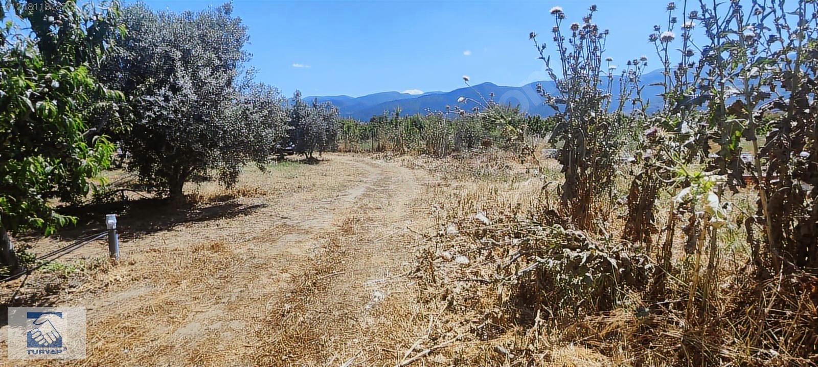 Kemalpaşa Örende 1234 M2 Satılık Müstakil Bahçe - İZMİR KEMALPAŞA fotoğraf 10
