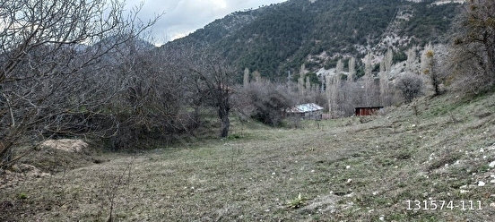 GÖYNÜK YEŞİLYAZI KÖYÜNDE BAHÇE EV YERİ. - BOLU GÖYNÜK fotoğraf 4