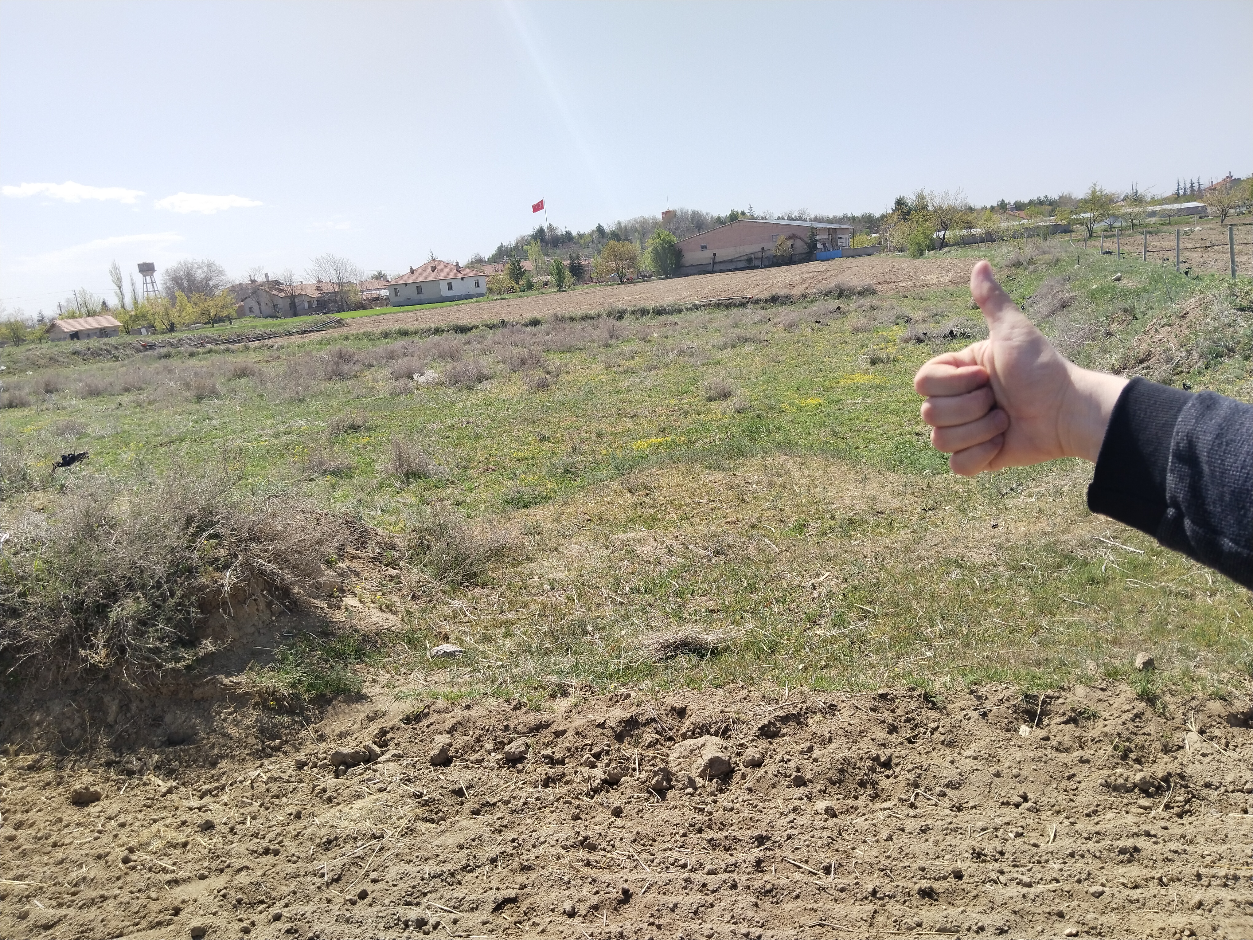 KONYA ÇUMRA ALİBEYHÜYÜĞÜ  KÖYÜNDE  272  M² BAĞ SATILIKTIR - KONYA ÇUMRA fotoğraf 16