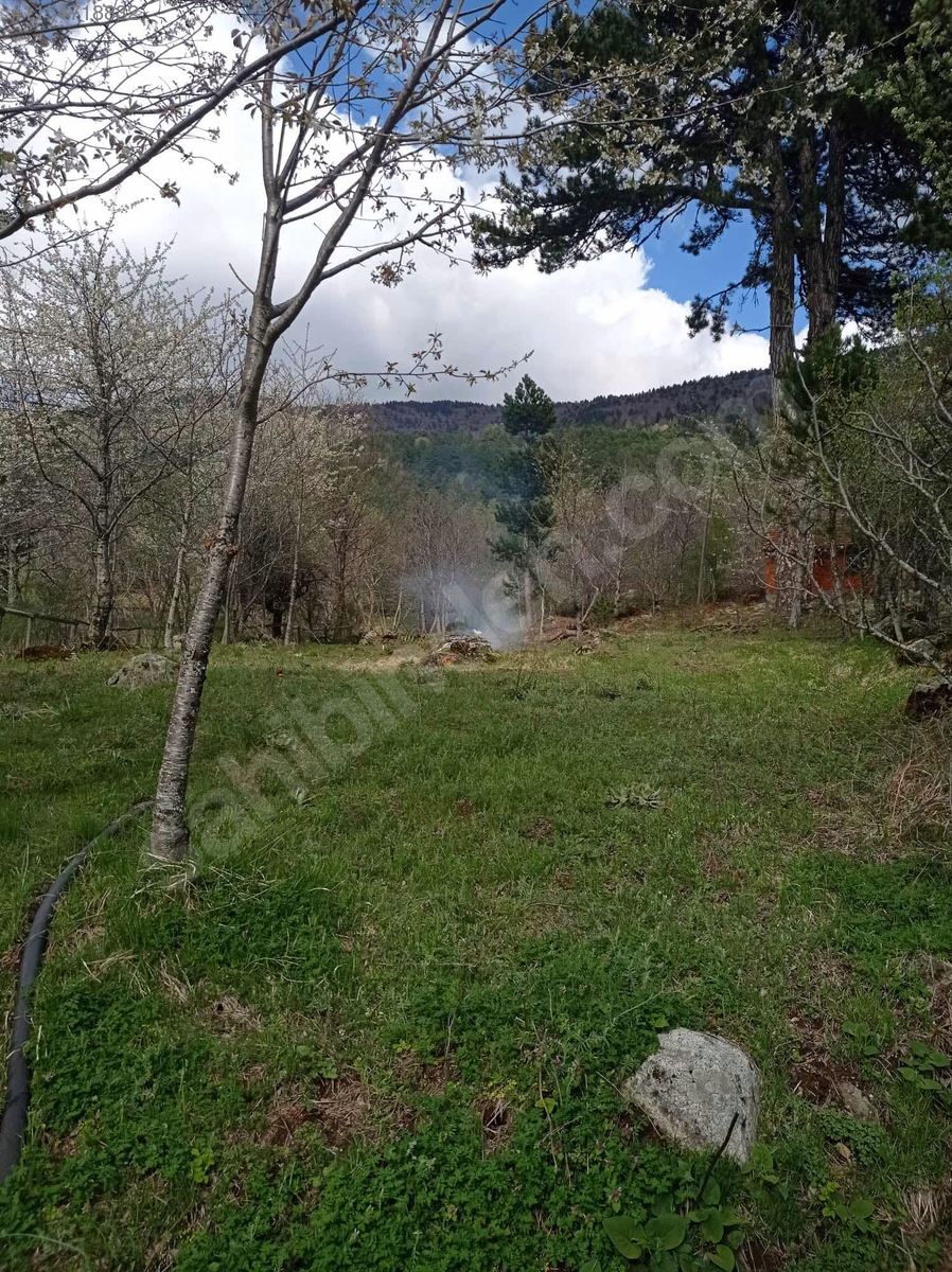 BURSA KELEŞ PINARCIK'TA 1.902 M²  BAHÇELİ KARGIR EV SATILIKTIR - BURSA KELES fotoğraf 16