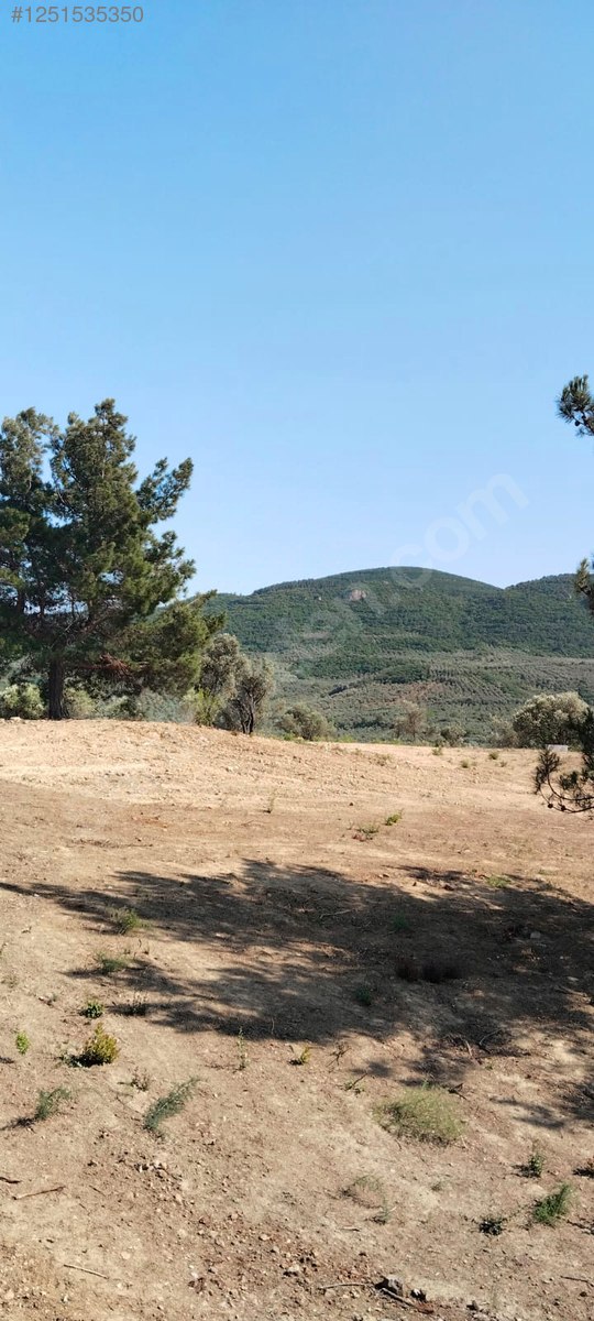 BURSA MUDANYA TİRİLYE (HALİLBEY) 1.853 M² TARLA SATILIKTIR. - BURSA MUDANYA fotoğraf 3