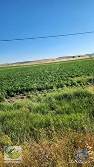 🚨 KÜTAHYA'DA ANAYOLA CEPHELİ 6.152 M² VERİMLİ TARLA 🚨 - KÜTAHYA MERKEZ fotoğraf 45