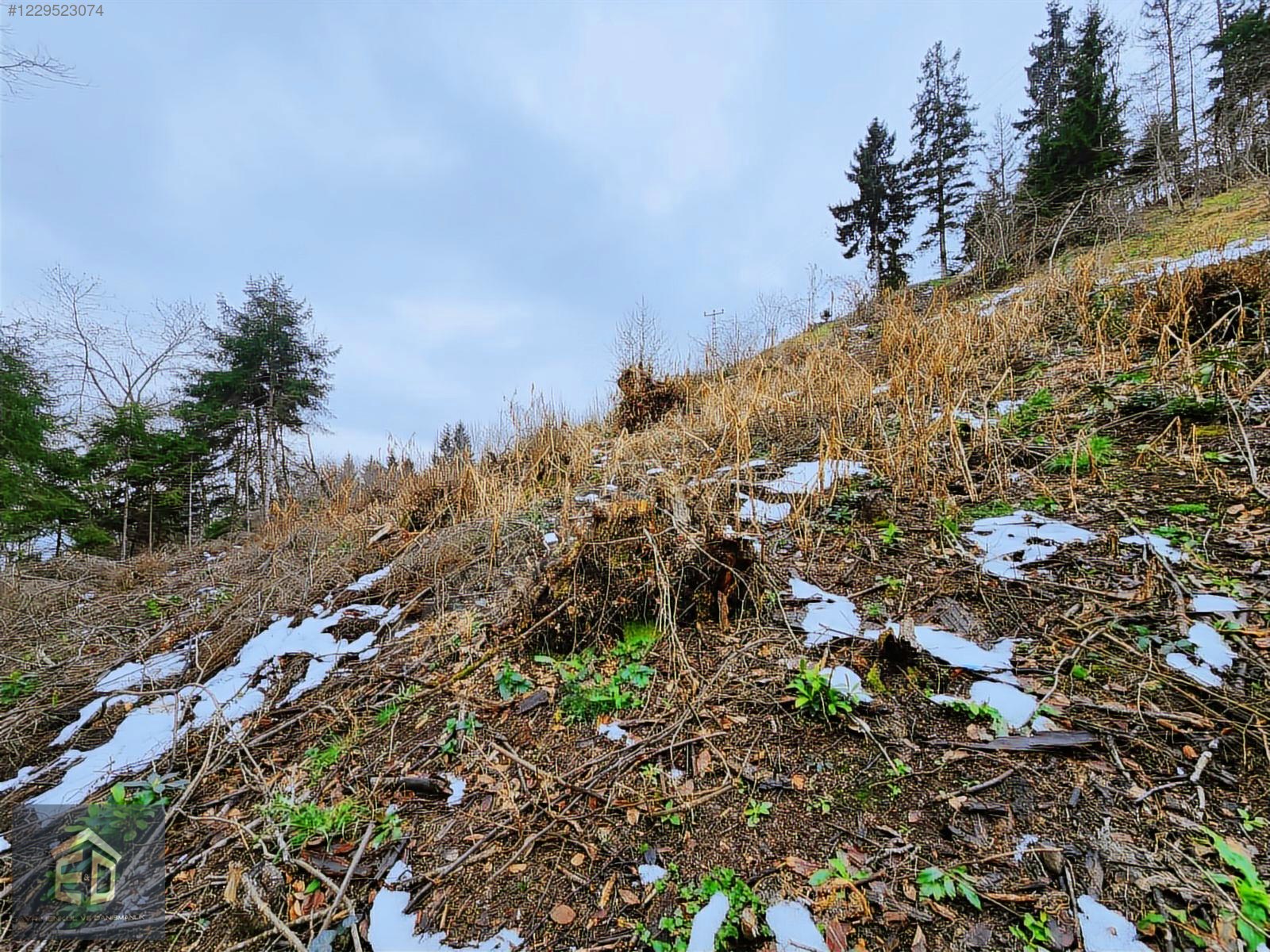 E&D GYO'DAN TRABZON KAVALA'DA SATILIK 1050 M² MANZARALI ARSA - TRABZON ORTAHİSAR fotoğraf 3