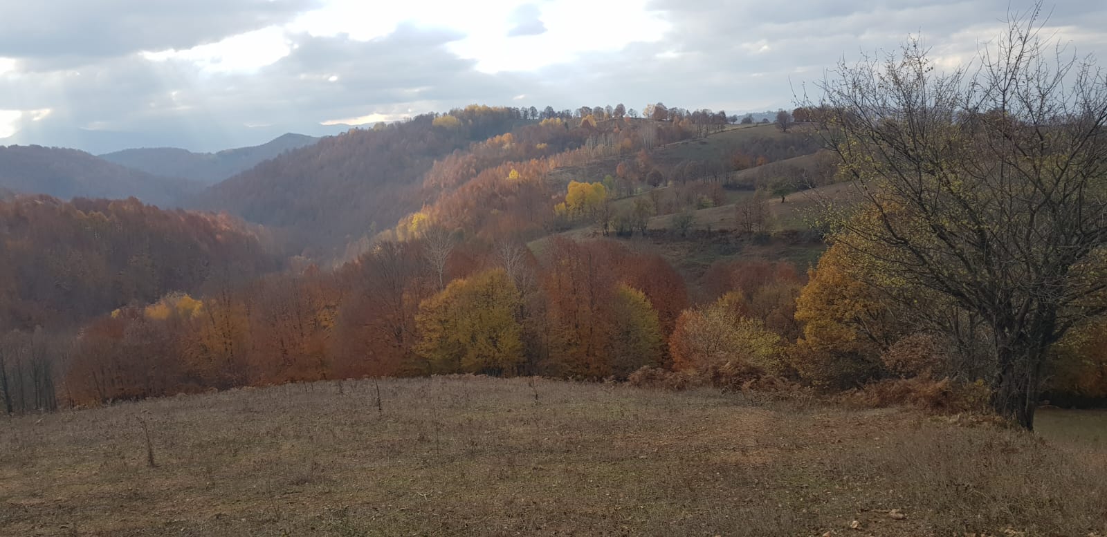 Bursa inegol Hamitabat mahallesinde köye yakin manzarali 16.581 - BURSA İNEGÖL fotoğraf 3