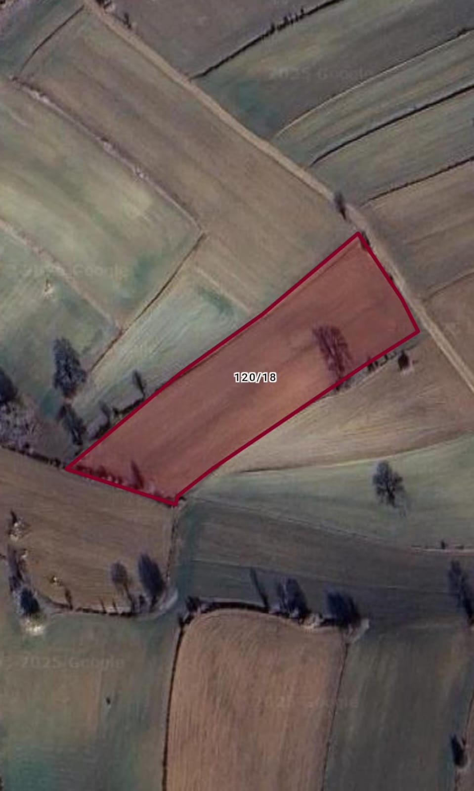 BİLECİK SÖĞÜT ORTACA 4.681 m² TARLAMIZ  SATILIKTIR. - BİLECİK SÖĞÜT fotoğraf 3