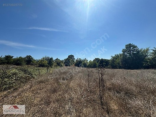 MUSTAFAKEMALPAŞA SOĞUCAK 7.055 M2 ARAZİ - BURSA MUSTAFAKEMALPAŞA fotoğraf 3