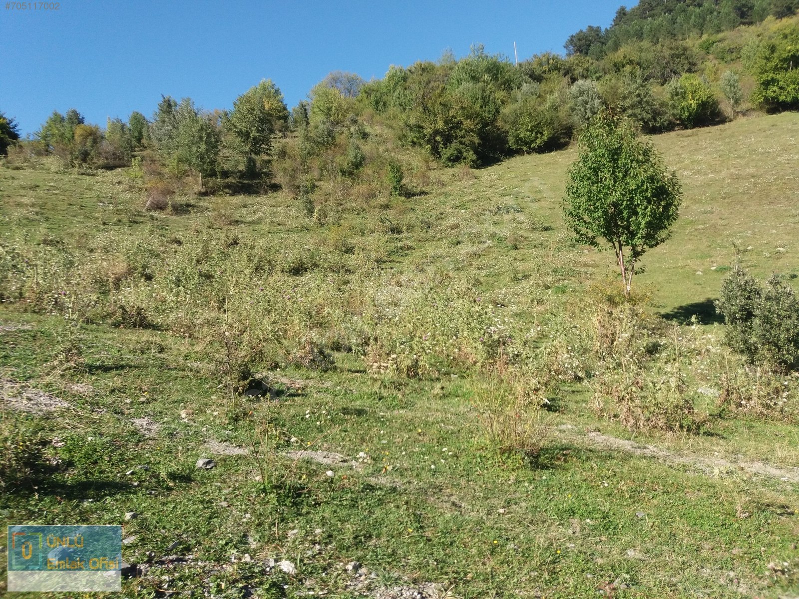 ÜNLÜ EMLAKTAN ILGAZ MANZARALI ORMAN İÇİNDE 50 DÖNÜM CAZİP ARAZİ - KASTAMONU MERKEZ fotoğraf 13