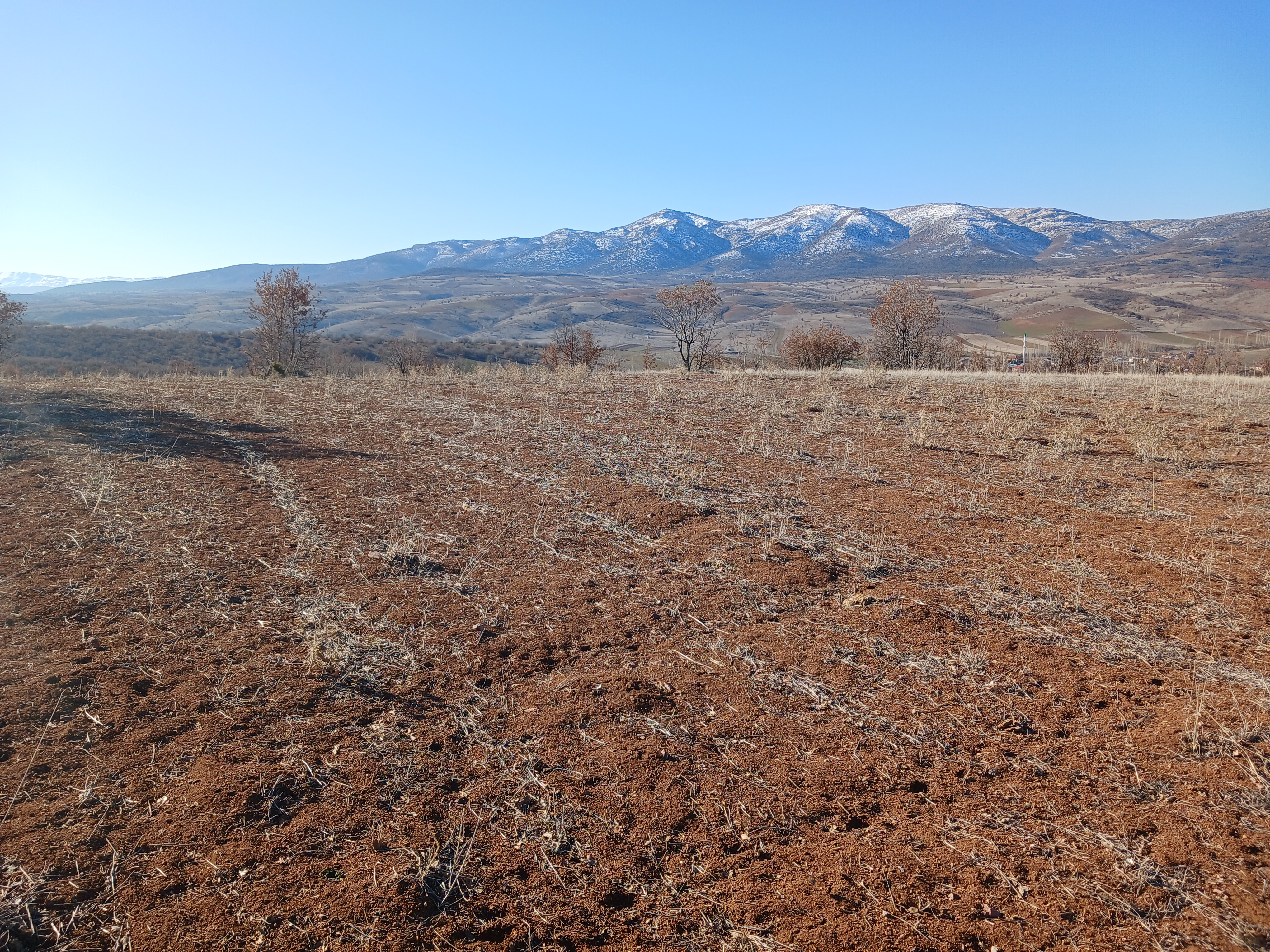 KONYA GÜNEYSINIR KAYAAĞZI KÖYÜNDE 4.477 M²  TARLA SATILIKTIR - KONYA GÜNEYSINIR fotoğraf 11