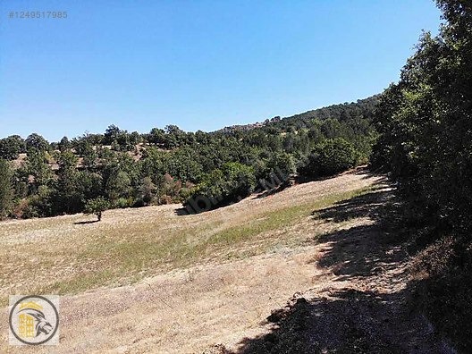 ASLAN EMLAK'TAN SATILIK KÜTAHYA HİSARCIKTA 853 M2 TARLA !!! - KÜTAHYA HİSARCIK fotoğraf 6