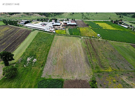 BURSA KARACABEY TOPHİSAR KÖYÜNDE 2.500  M² TARLA SATILIKTIR - BURSA KARACABEY fotoğraf 3