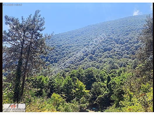 AYHAN HEPDİKER DEN GEYVE NURİOSMANİYEDE 18000 M2 HARİKA KONUMDA - SAKARYA GEYVE fotoğraf 22