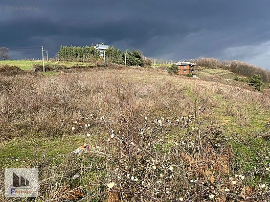 GÖLCÜK HAMİDİYEDE SATILIK ARAZİ - KOCAELİ GÖLCÜK fotoğraf 19