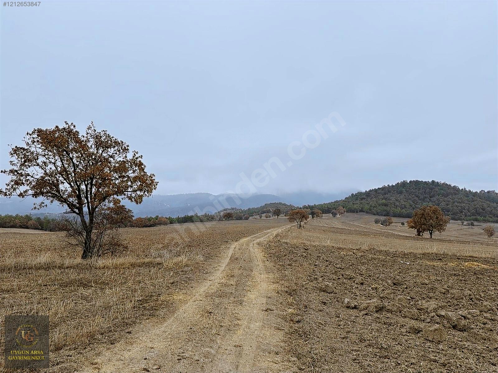 BOLU GÖYNÜK KARAARDIÇ'TA 4.921 M2 UYGUN ARSA - BOLU GÖYNÜK fotoğraf 31