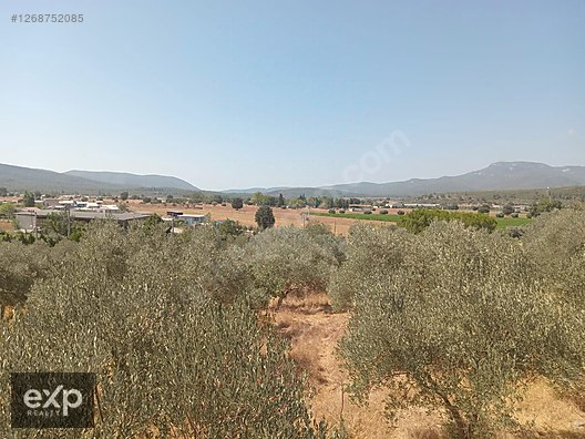 Menderes Çakaltepe'de 980 m2 Satılık Arsa - İZMİR MENDERES fotoğraf 3