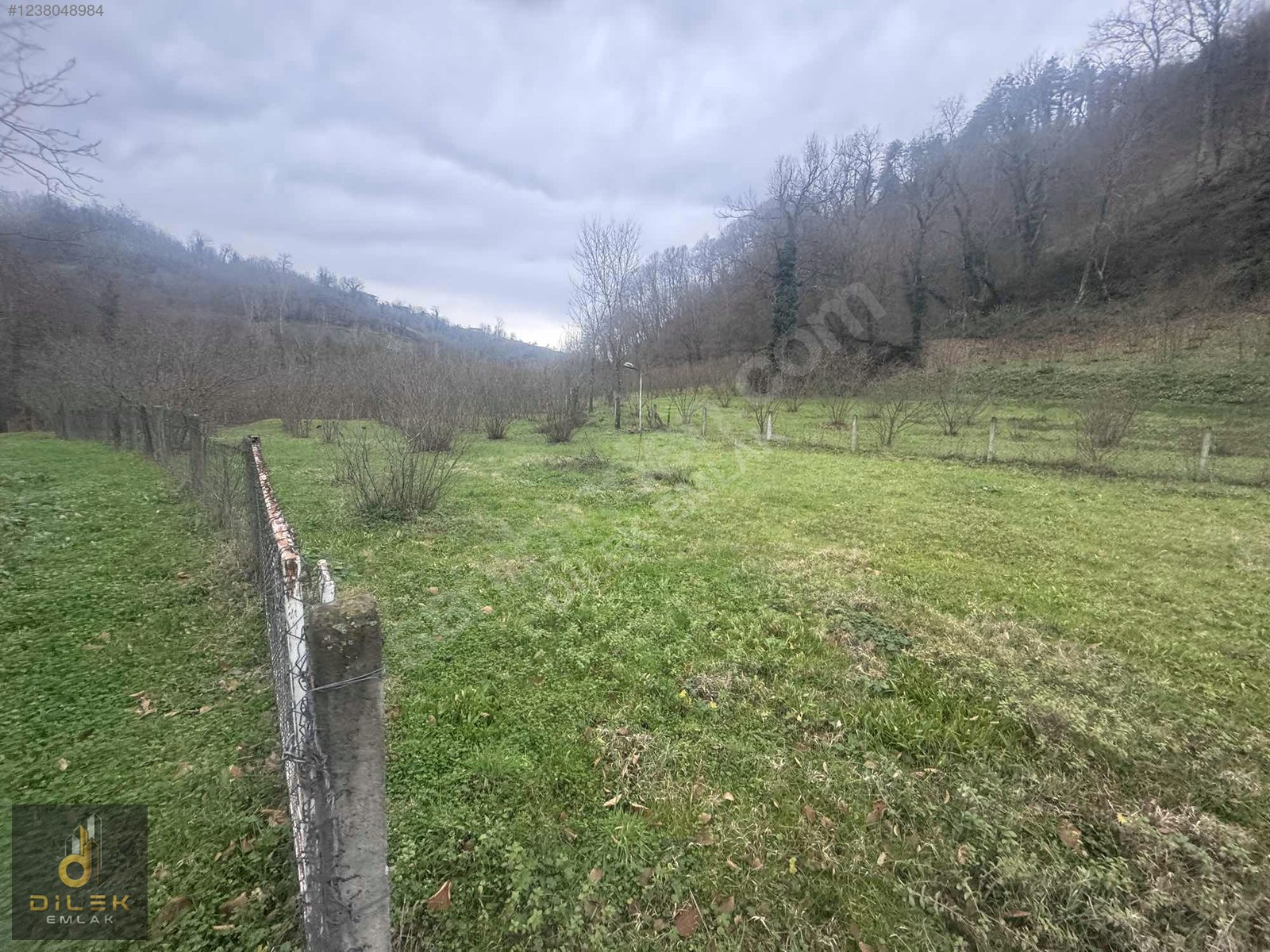 ZONGULDAK EREĞLİ KIZILCAPINARDA 5.000 M2 SATILIK DİLEK EMLAKTAN - ZONGULDAK EREĞLİ fotoğraf 7