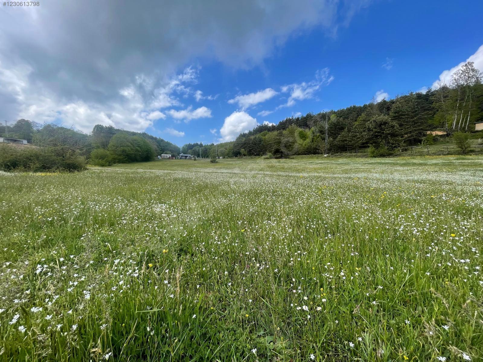 BURSA İZNİK CANDARLI'DA 6.517 M²  TARLA  SATILIKTIR. - BURSA İZNİK fotoğraf 15