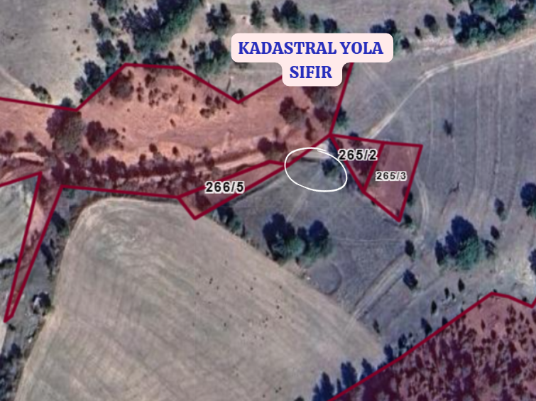 KÜTAHYA EMET EĞRİSÖZ-KALEHİSAR KÖYÜNDE 333  M²  TARLA  SATILIKTIR  - KÜTAHYA EMET fotoğraf 3