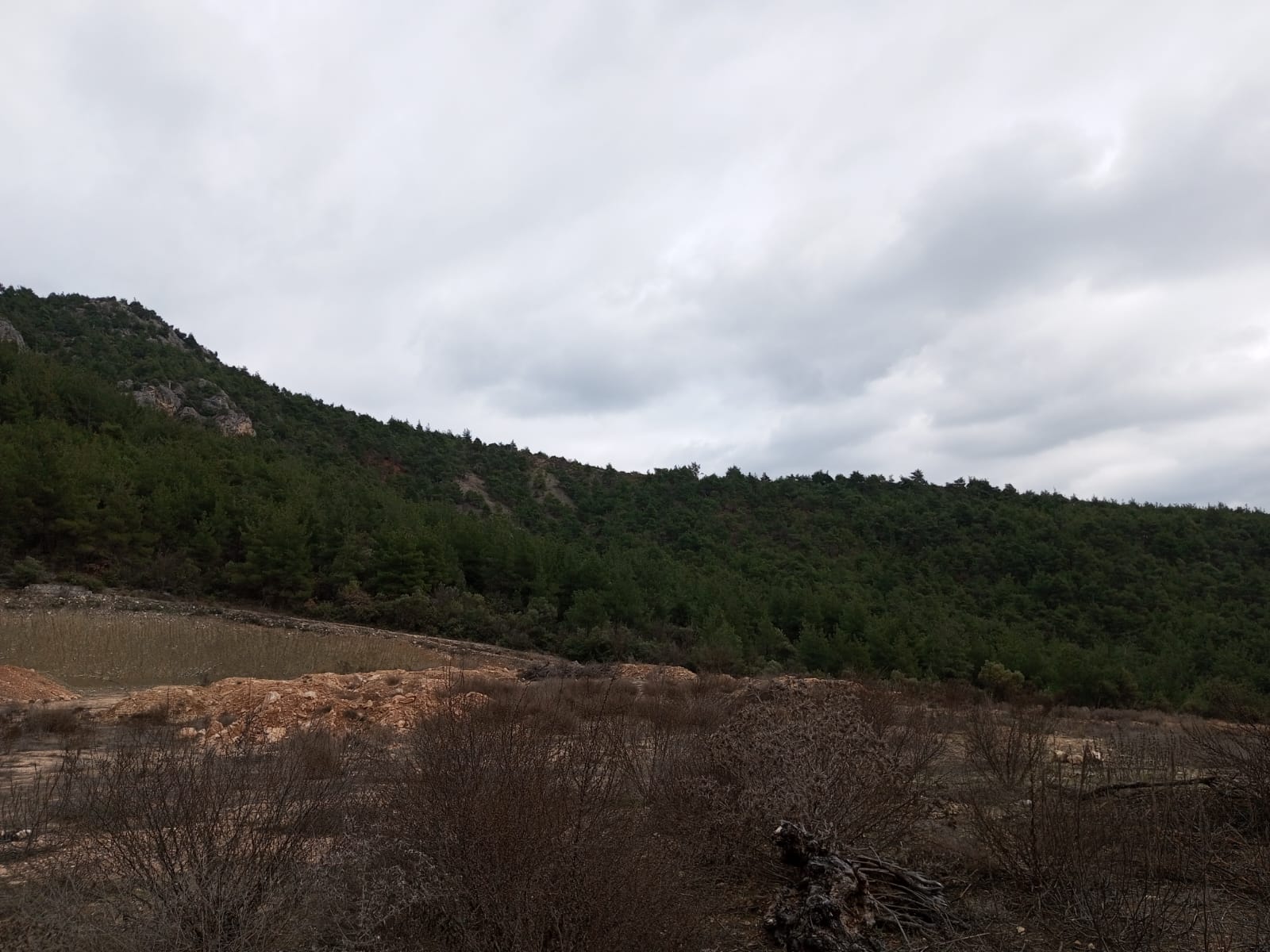 sahibinden satılık - BİLECİK OSMANELİ fotoğraf 21