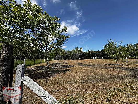KARASU KUYUMCULUDA SATILIK 463 M2 FIRSAT ARSA - SAKARYA KARASU fotoğraf 7