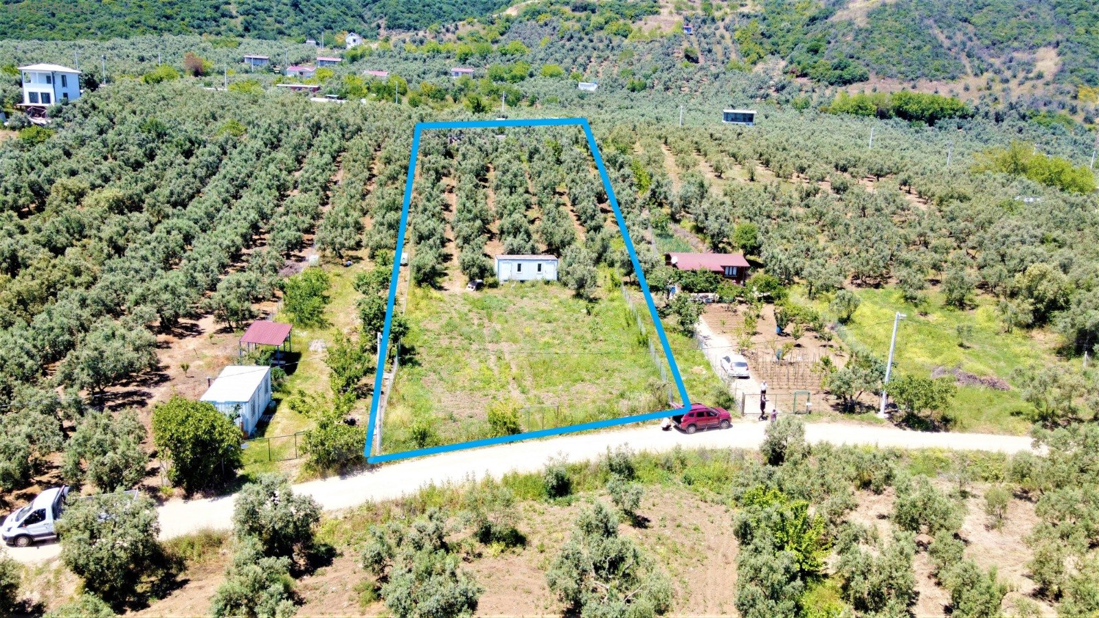 BURSA MUDANYA ÇEPNİ KÖYÜNDE 2.110 M² ZEYTİNLİK SATILIKTIR. - BURSA MUDANYA fotoğraf 9