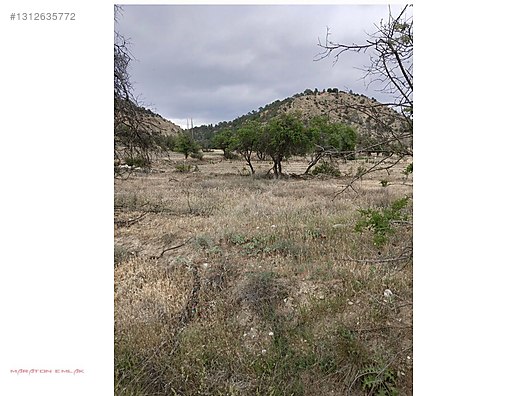 KEMER KAYI KÖYÜNDE YERLEŞİM YERİ İÇİNDE 7500 M2 SUYU MEVCUT - BURDUR KEMER fotoğraf 26