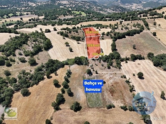🚨 DURSUNBEY OSB YAKININDA 2.547 M² YATIRIMLIK VERİMLİ TARLA 🚨 - BALIKESİR DURSUNBEY fotoğraf 7