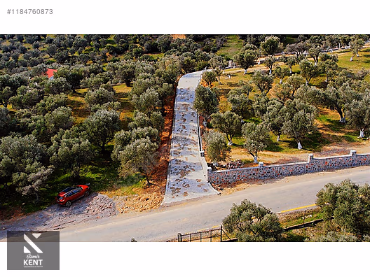 Kemalpaşa Sütçüler Satılık 873 m2 Zeytinlik - İZMİR KEMALPAŞA fotoğraf 13