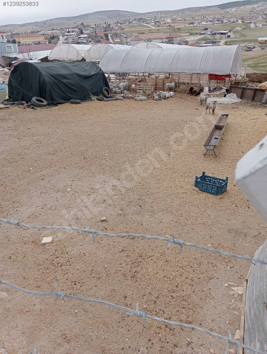 Antalya / Korkuteli / Küçükköy Mahallesinde ACİLL 424 M² SATILIK ARSA  - ANTALYA KORKUTELİ fotoğraf 3