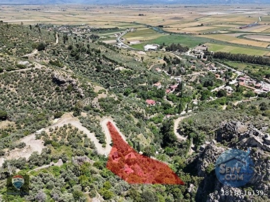 GÜLLÜBAHÇE MEVKİİ SATILIK ZEYTİNLİK-DEĞİRMEN VE HARIMI - AYDIN SÖKE fotoğraf 4