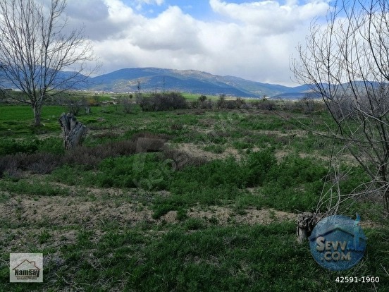 Çevreyoluna Çok Yakın 5 Dönüm Bahçe, 2 tarafı da yol - ANTALYA KORKUTELİ fotoğraf 39