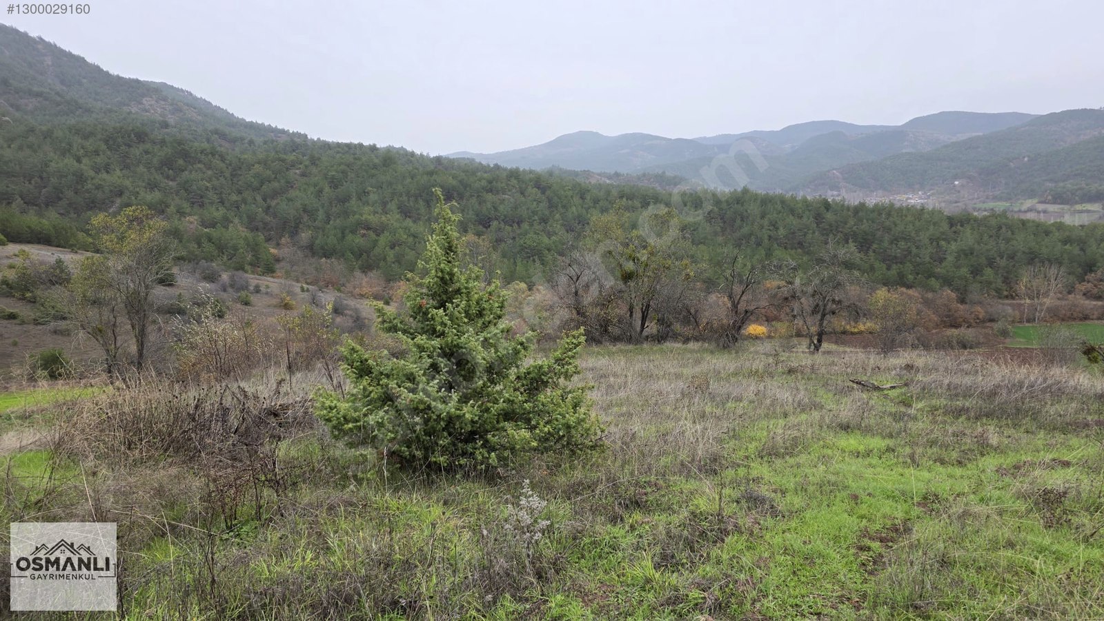 RESMİ YOLLU 800 M2 MANZARALI HOBİ BAHÇESİ - BİLECİK GÖLPAZARI fotoğraf 19