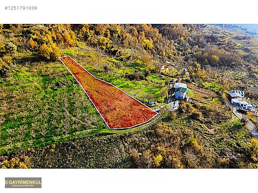GEYVE DEREKÖYDE 1299 M2 SAKARYA NEHRİ MANZARALI TARLA - SAKARYA GEYVE fotoğraf 17