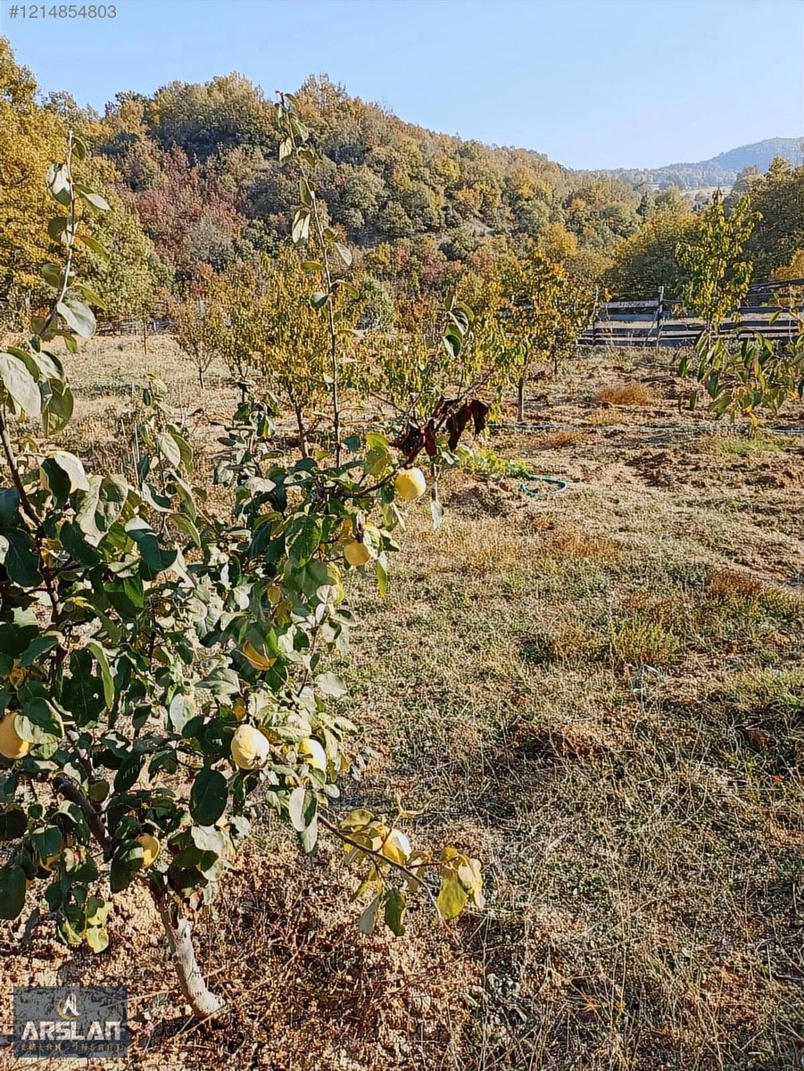ARSLAN EMLAK'TAN İNEGÖL ÇİTLİDE SATILIK HOBİ BAHÇESİ - BURSA İNEGÖL fotoğraf 29