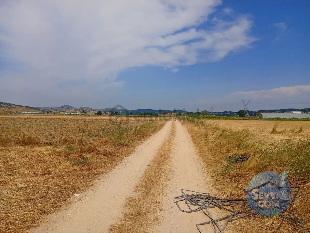 Gökçeyazı Da Kadastro Yolu Mevcut Tarla - BALIKESİR İVRİNDİ fotoğraf 4