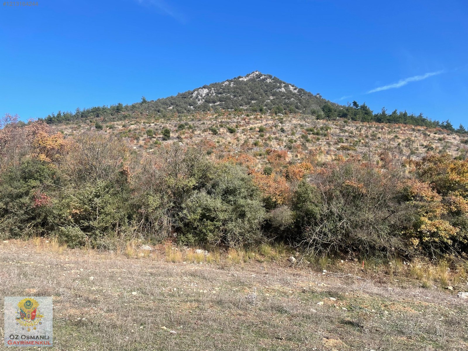 1.101 M2 YOLU, SUYU OLAN ASFALTA YAKIN YATIRIMLIK TARLA - BİLECİK OSMANELİ fotoğraf 3