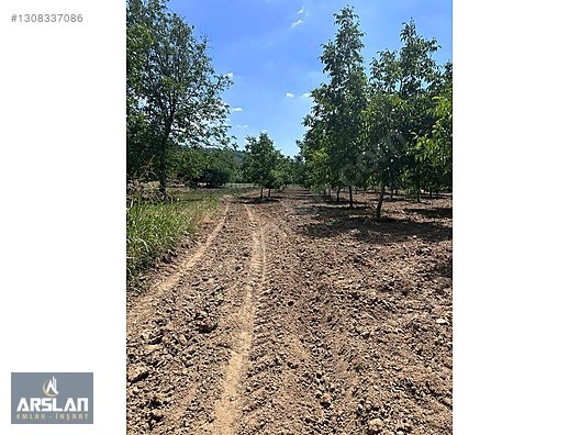 İNEGÖL ÇİTLİ'MAH 11,000m² SATILIK BAKIMLI CEVİZ BAHÇESİ - BURSA İNEGÖL fotoğraf 13