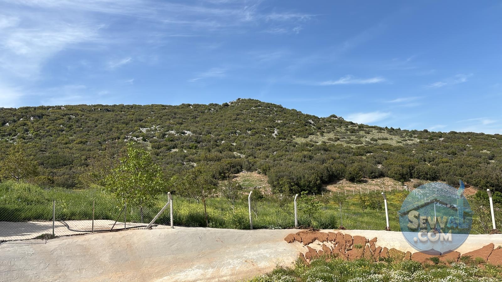 AĞLASUN ÇANAKLI KÖYÜNDE SATILIK FIRSAT ARAZİ - Burdur Ağlasun fotoğraf 9