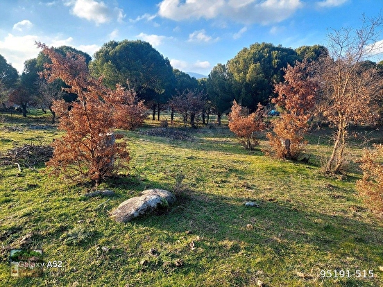 BERGAMA KOZAK YAYLASI KARAVELİLER MAH DE 2360 m2 BAHÇE - İZMİR BERGAMA fotoğraf 4