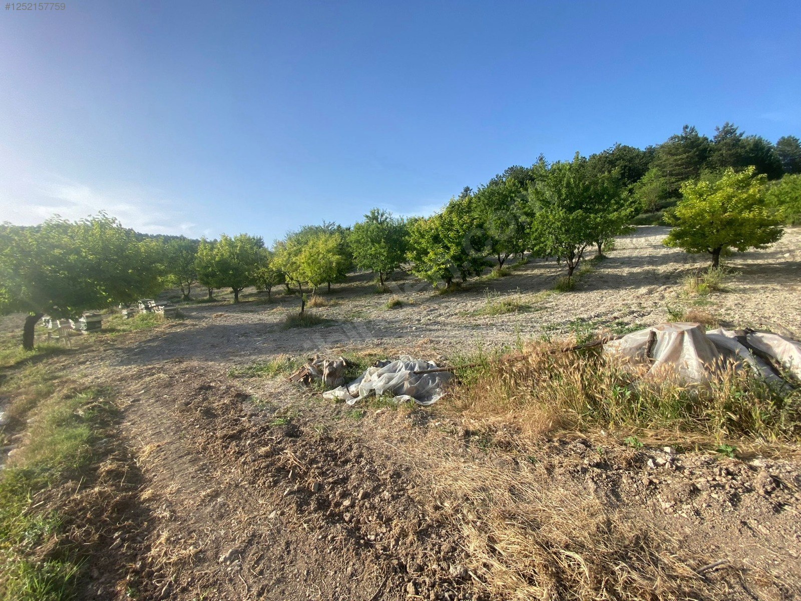 BURSA KELEŞ BELENÖREN'DE 11.691  M² BAHÇE SATILIKTIR - BURSA KELES fotoğraf 9