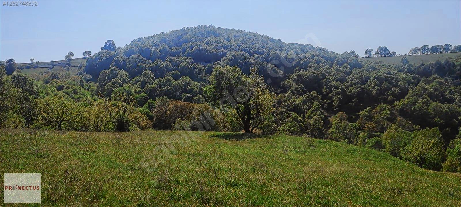 FULACIK MAHALLESİ'NDE RESMİ YOLA CEPHE SATILIK 3516 M2 ARSA - KOCAELİ KARAMÜRSEL fotoğraf 9