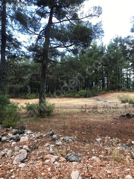 Antalya / Kumluca / Karacaören Mahallesinde 2.492 m² SATILIK ARSA - ANTALYA KUMLUCA fotoğraf 2