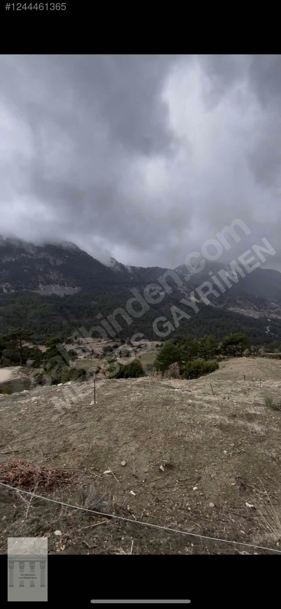 SEYDİKEMER ÇOKEK MAHALLESI SATILIK 2B ARAZI - MUĞLA SEYDİKEMER fotoğraf 3
