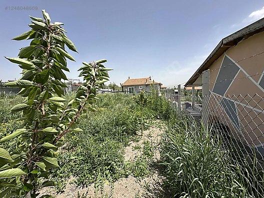 ANKARA ÇUBUK AĞILCIK KÖYÜNDE TARLAMIZIN 500 M² Sİ SATILIKTIR - ANKARA ÇUBUK fotoğraf 11