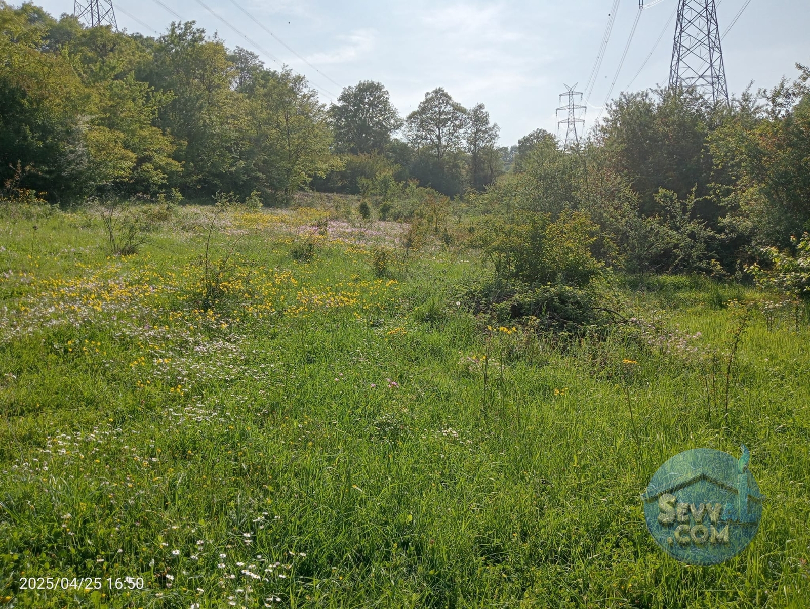 KOCAELİ KANDIRADA ARAÇ TAKASINA UYGUN 1.069 M² TARLA SATILIKTIR - Kocaeli Kandıra fotoğraf 2