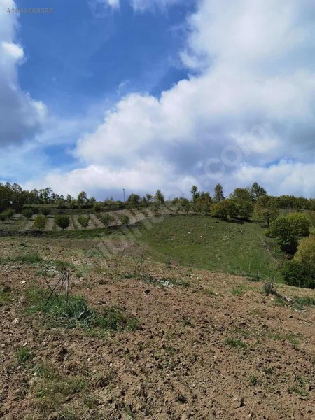 BURSA İZNİK TACİR KÖYÜNDE 13.056 M TARLA SATILIKTIR - BURSA İZNİK fotoğraf 11