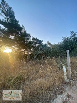 Kupon satışta
