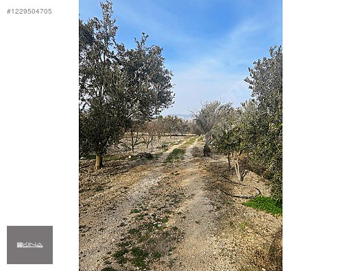 SATILIK YATIRTAŞ MAHALLESİ MERKEZE ÇOK YAKIN FIRSAT TARLA - MERSİN MUT fotoğraf 8