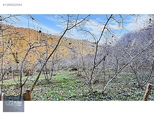 4,5 DÖNÜM FINDIK TARLASI - BARTIN MERKEZ fotoğraf 23